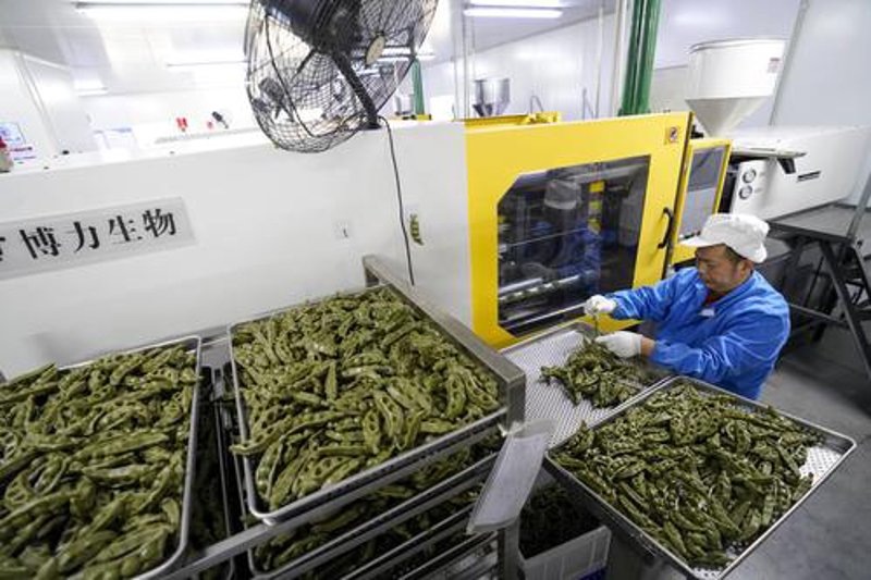 工贸一体化：推动贸易与制造共赢的新模式